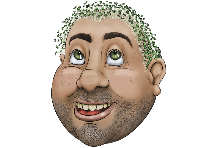 He would grow cress instead of hair (crecer).